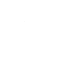 Customer review