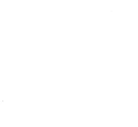 Customer review
