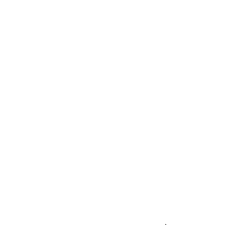 Customer review