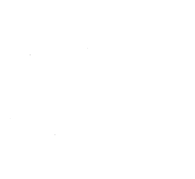 Customer review