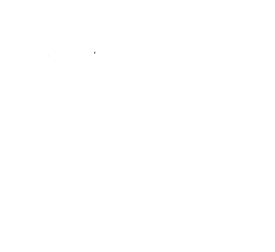 Customer review