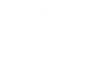 Customer review