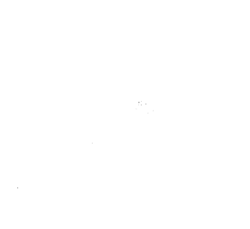 Customer review