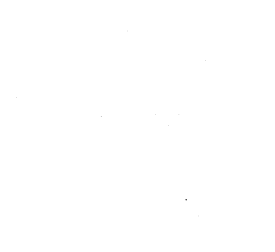 Customer review