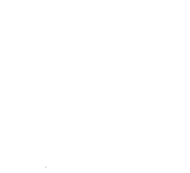 Customer review