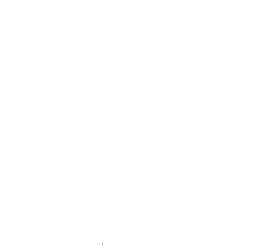 Customer review