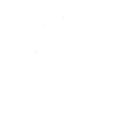 Customer review