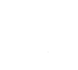 Customer review