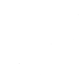 Customer review