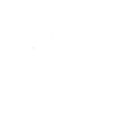 Customer review