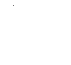 Customer review