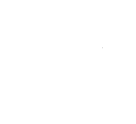 Customer review
