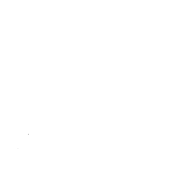 Customer review
