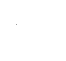 Customer review
