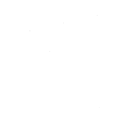 Customer review