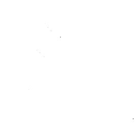 Customer review