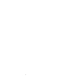 Customer review