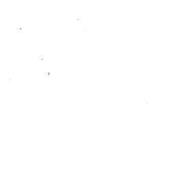 Customer review
