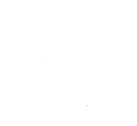 Customer review