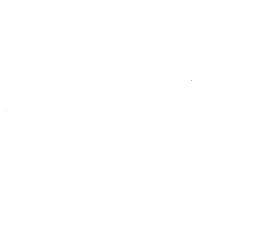 Customer review