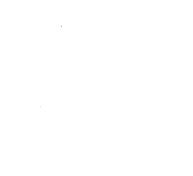 Customer review