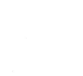 Customer review