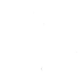 Customer review