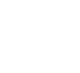 Customer review