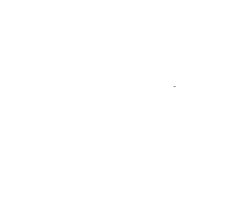 Customer review