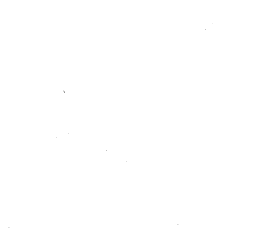 Customer review