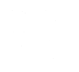 Customer review