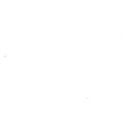 Customer review