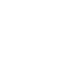 Customer review