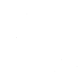 Customer review