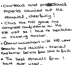 Customer review