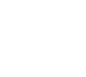 Customer review
