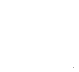 Customer review