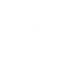 Customer review