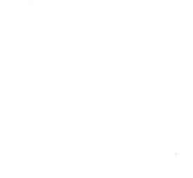 Customer review