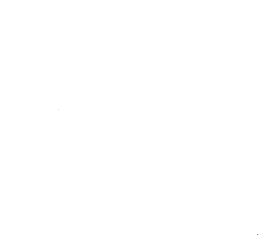 Customer review