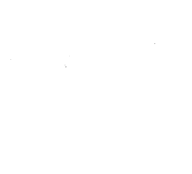 Customer review