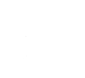 Customer review