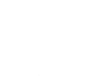 Customer review