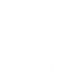 Customer review