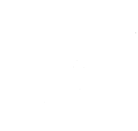 Customer review