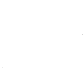 Customer review