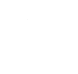 Customer review