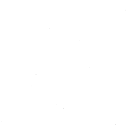 Customer review