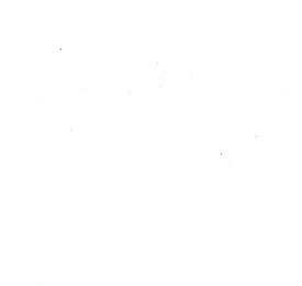 Customer review