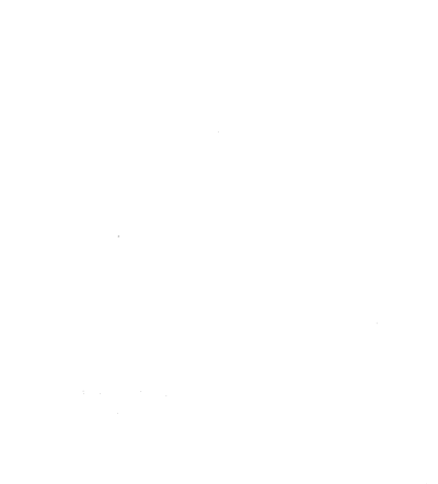 Customer review